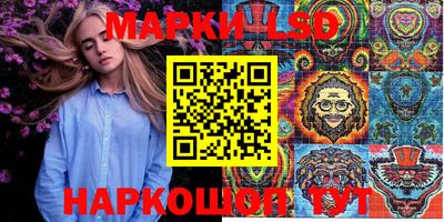 амф Камышлов
