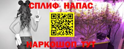 амф Камышлов