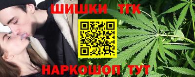 амф Камышлов