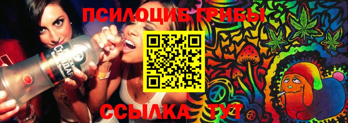 закладка  Псилоцибиновые грибы Psilocybe  Вход с VPN  Кулебаки 